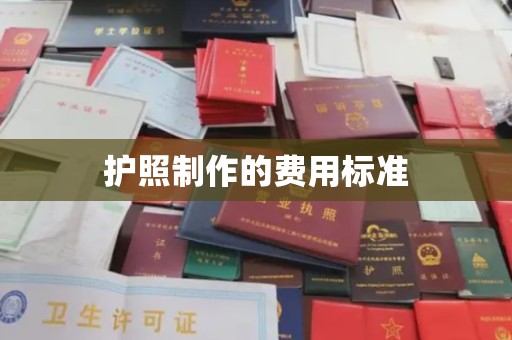 彰武护照制作的费用标准